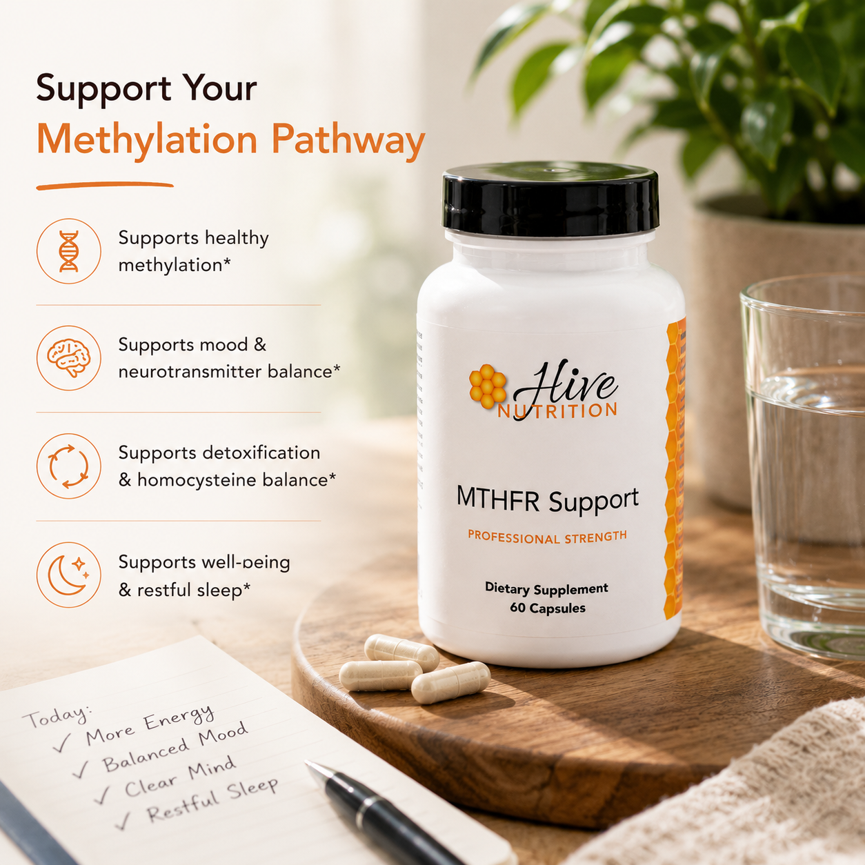 MTHFR Support